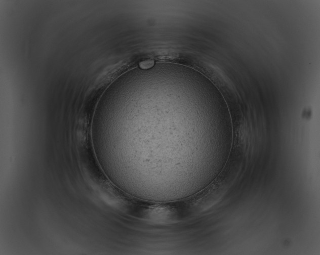 X0000091650218200708301425