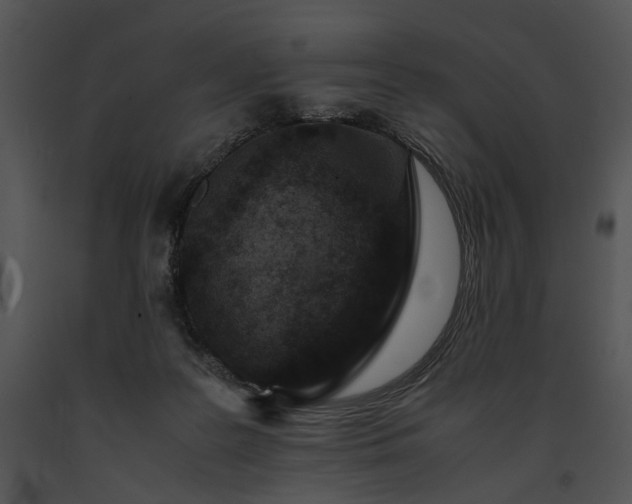 X0000091650219200708301425