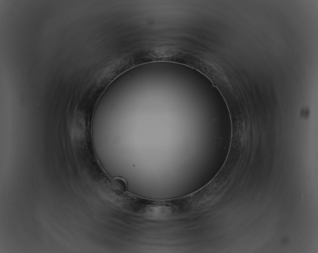 X0000091650220200708301425