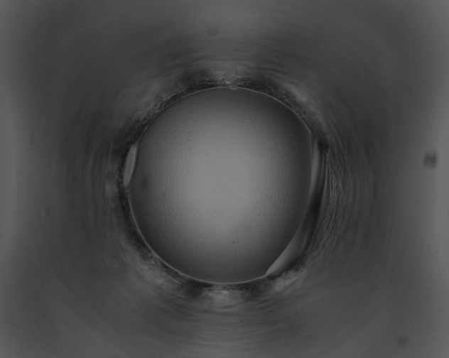 X0000091650221200708301425