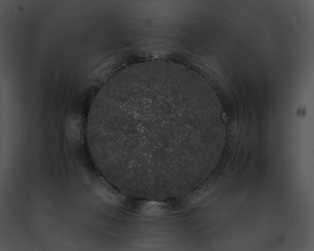 X0000091650222200708301425