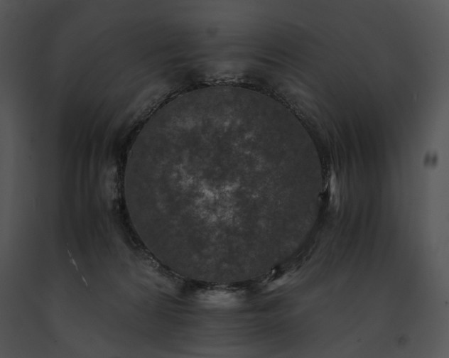 X0000091650224200708301425