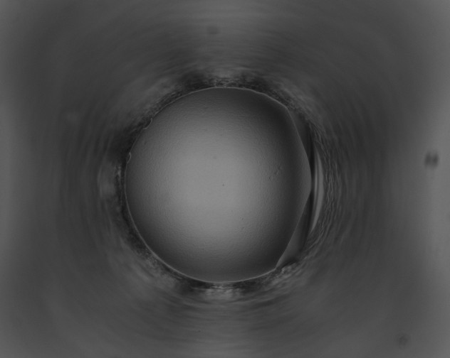 X0000091650225200708301425