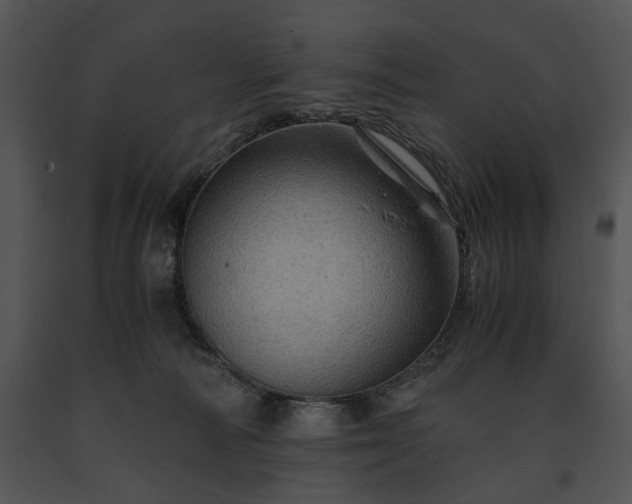 X0000091650226200708301425