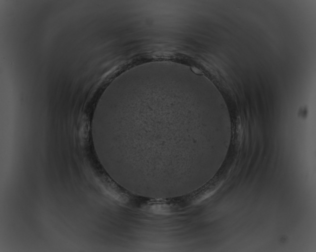 X0000091650228200708301425