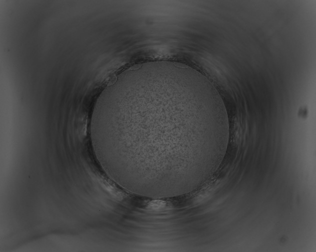 X0000091650230200708301424