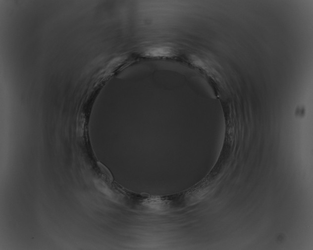 X0000091650231200708301424