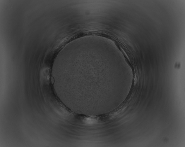 X0000091650232200708301424