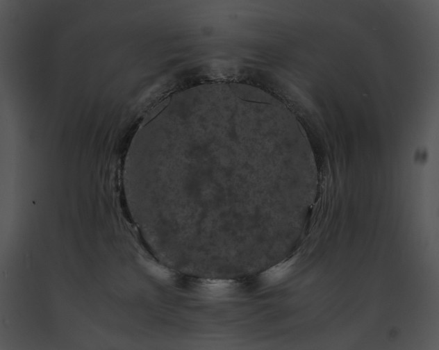 X0000091650233200708301424