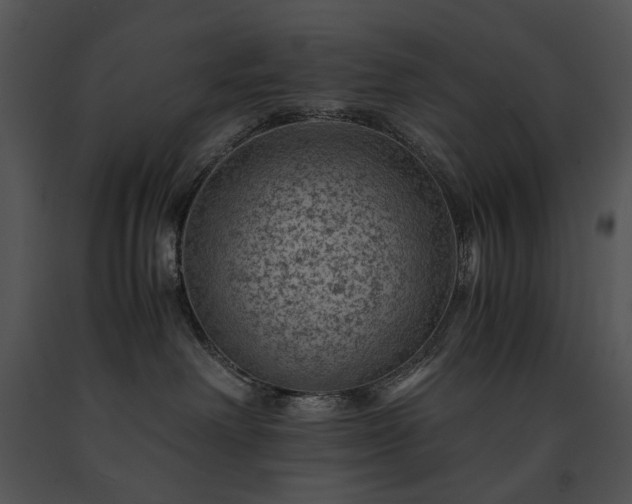 X0000091650238200708301424