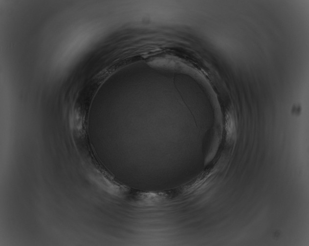 X0000091650239200708301424