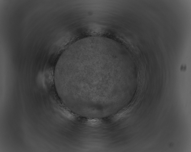 X0000091650240200708301424