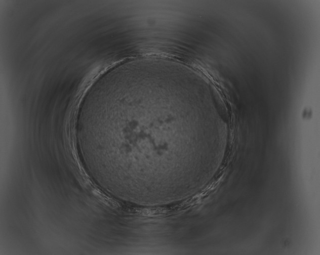 X0000091650241200708301424