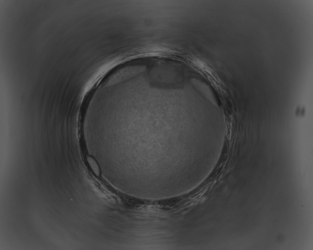 X0000091650244200708301424