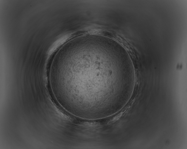 X0000091650245200708301424