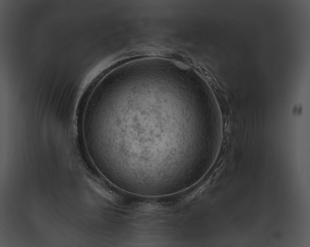 X0000091650246200708301424