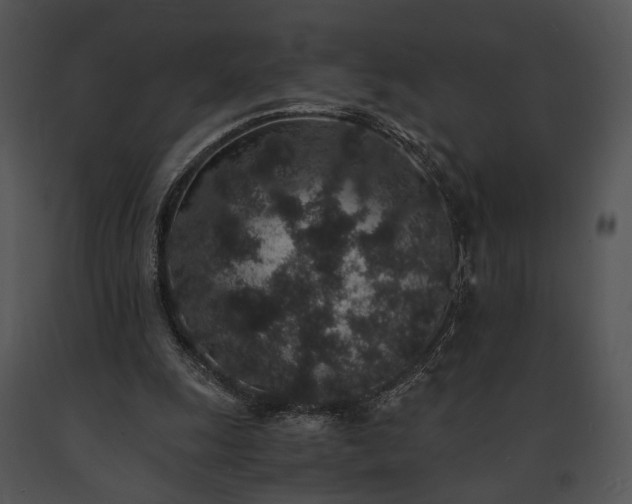 X0000091650247200708301424