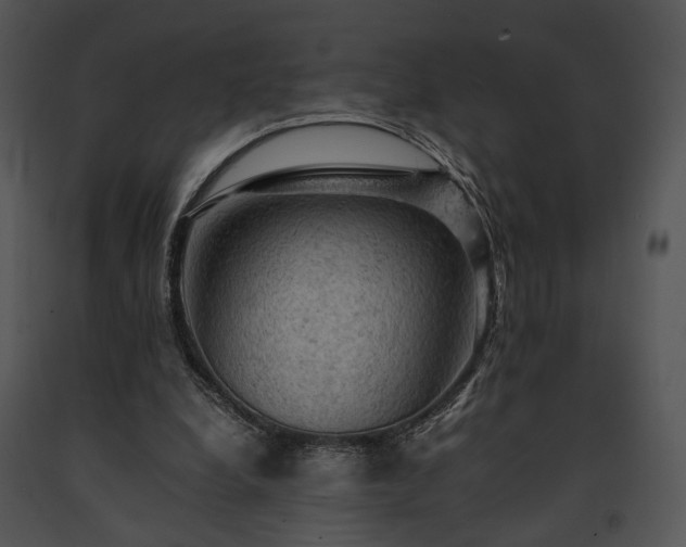 X0000091650248200708301424