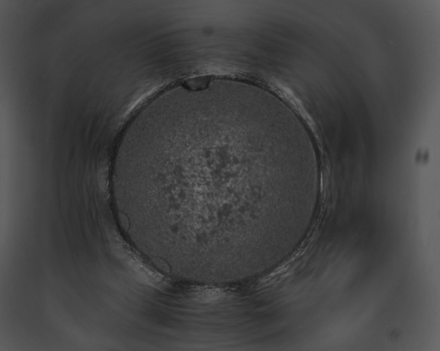 X0000091650249200708301424