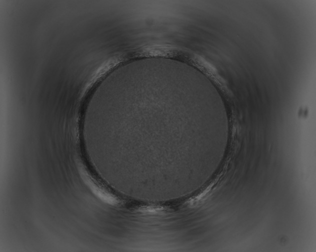 X0000091650250200708301424