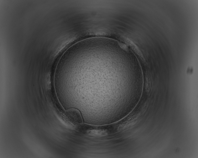 X0000091650251200708301424