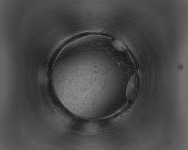 X0000091650252200708301424