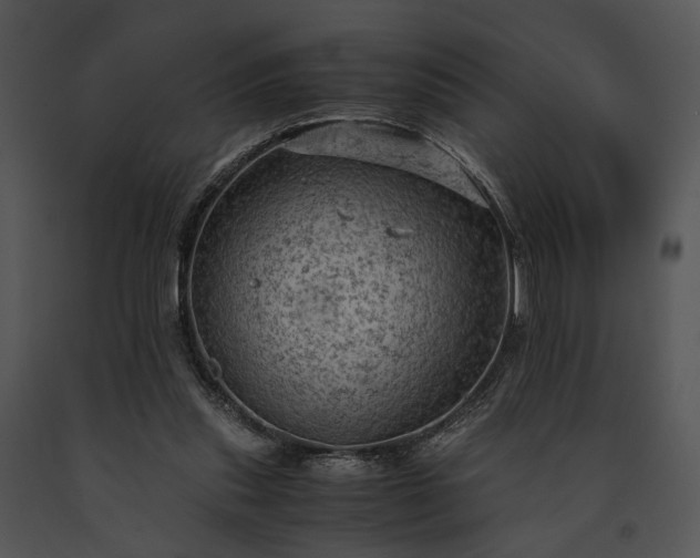 X0000091650253200708301424