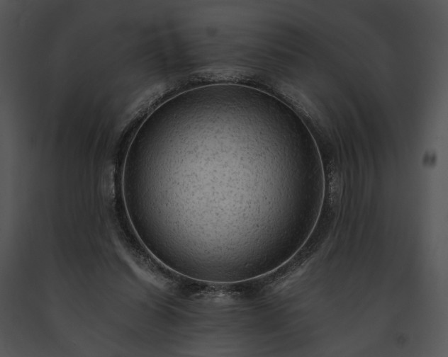 X0000091650254200708301424