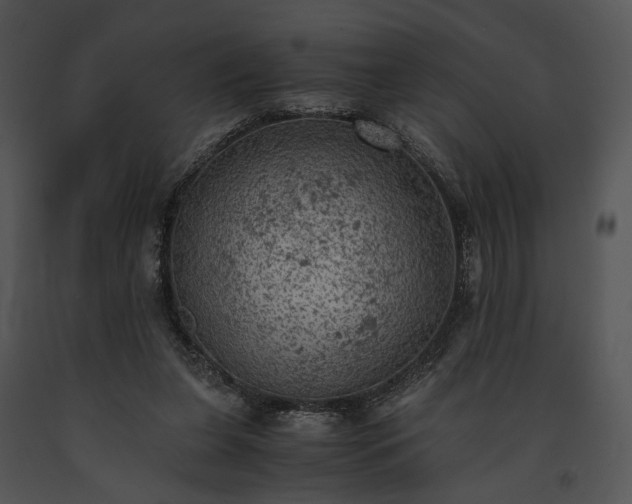 X0000091650255200708301424