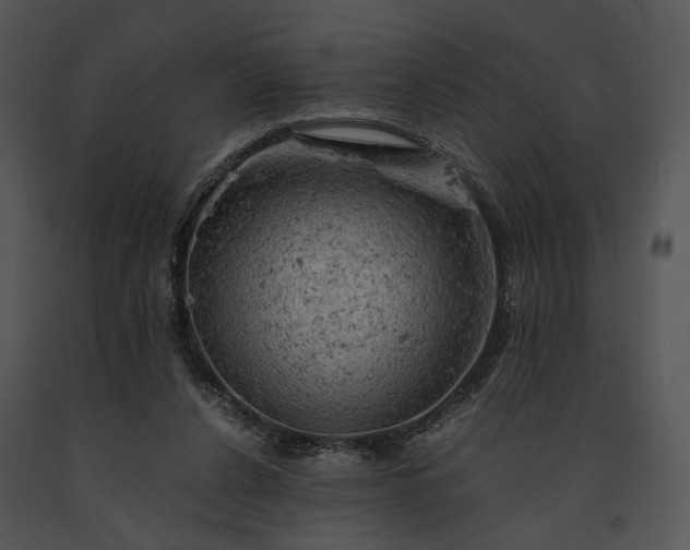 X0000091650256200708301424