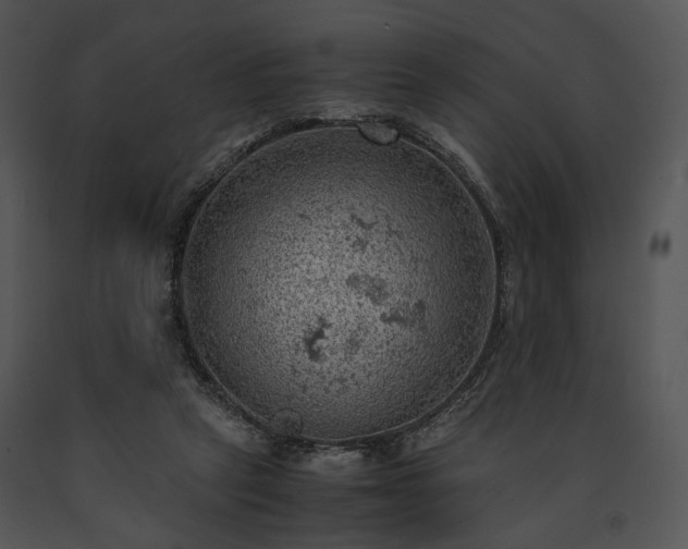 X0000091650257200708301424