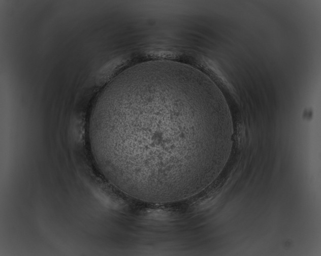 X0000091650259200708301424