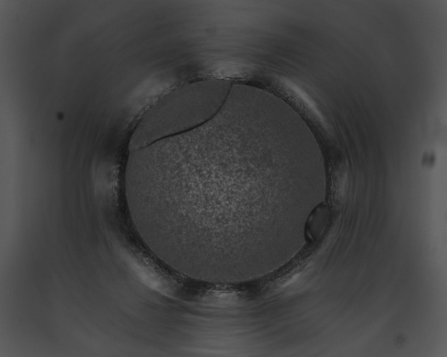 X0000091650260200708301424