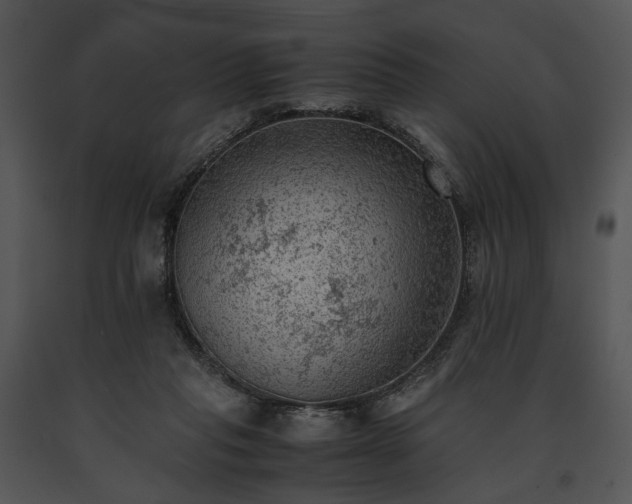 X0000091650261200708301424