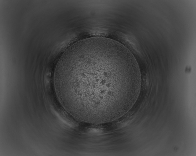 X0000091650263200708301424