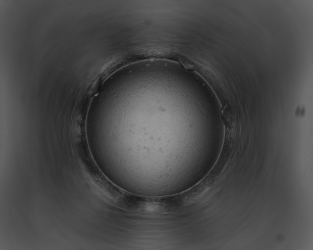 X0000091650264200708301424