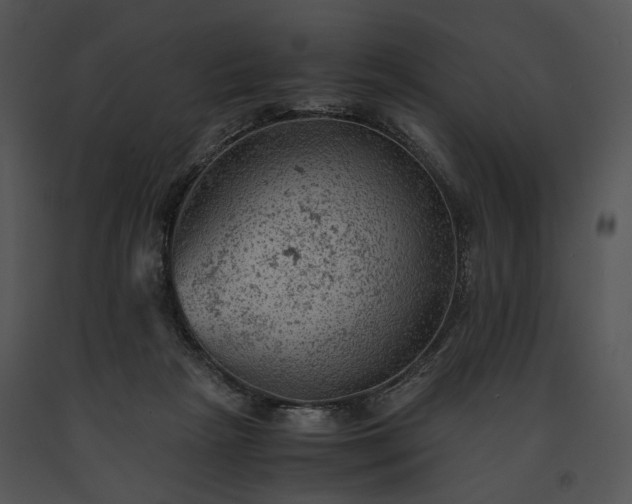 X0000091650265200708301424