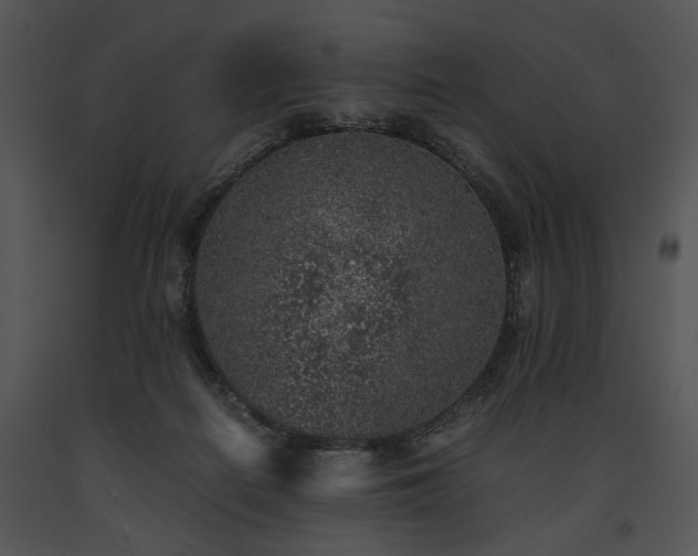 X0000091650266200708301424