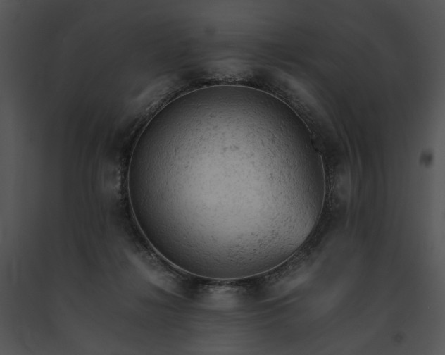 X0000091650268200708301424