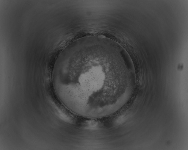 X0000091650272200708301424