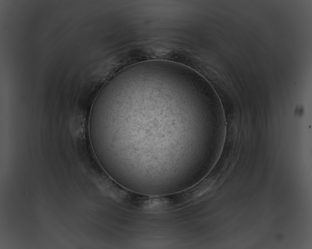 X0000091650274200708301424