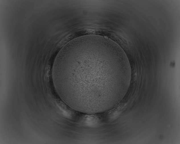 X0000091650275200708301424