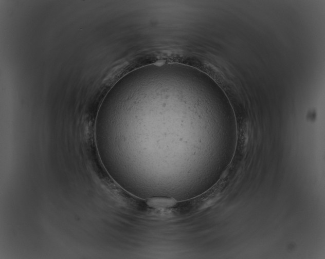 X0000091650276200708301424