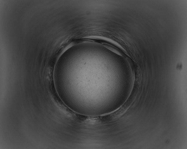 X0000091650280200708301424