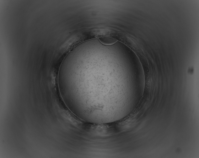 X0000091650282200708301424