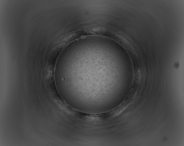 X0000091650284200708301424