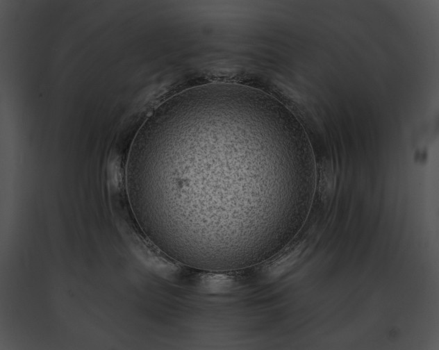 X0000091650287200708301424