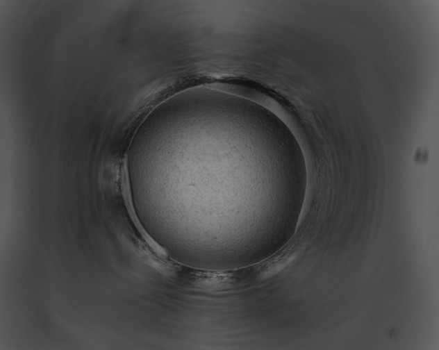 X0000091650288200708301424