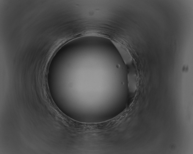 X0000091650289200708301424