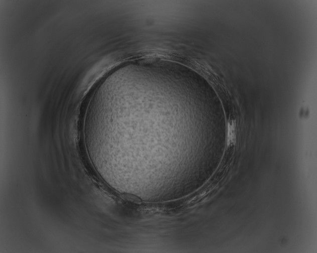 X0000091650291200708301424